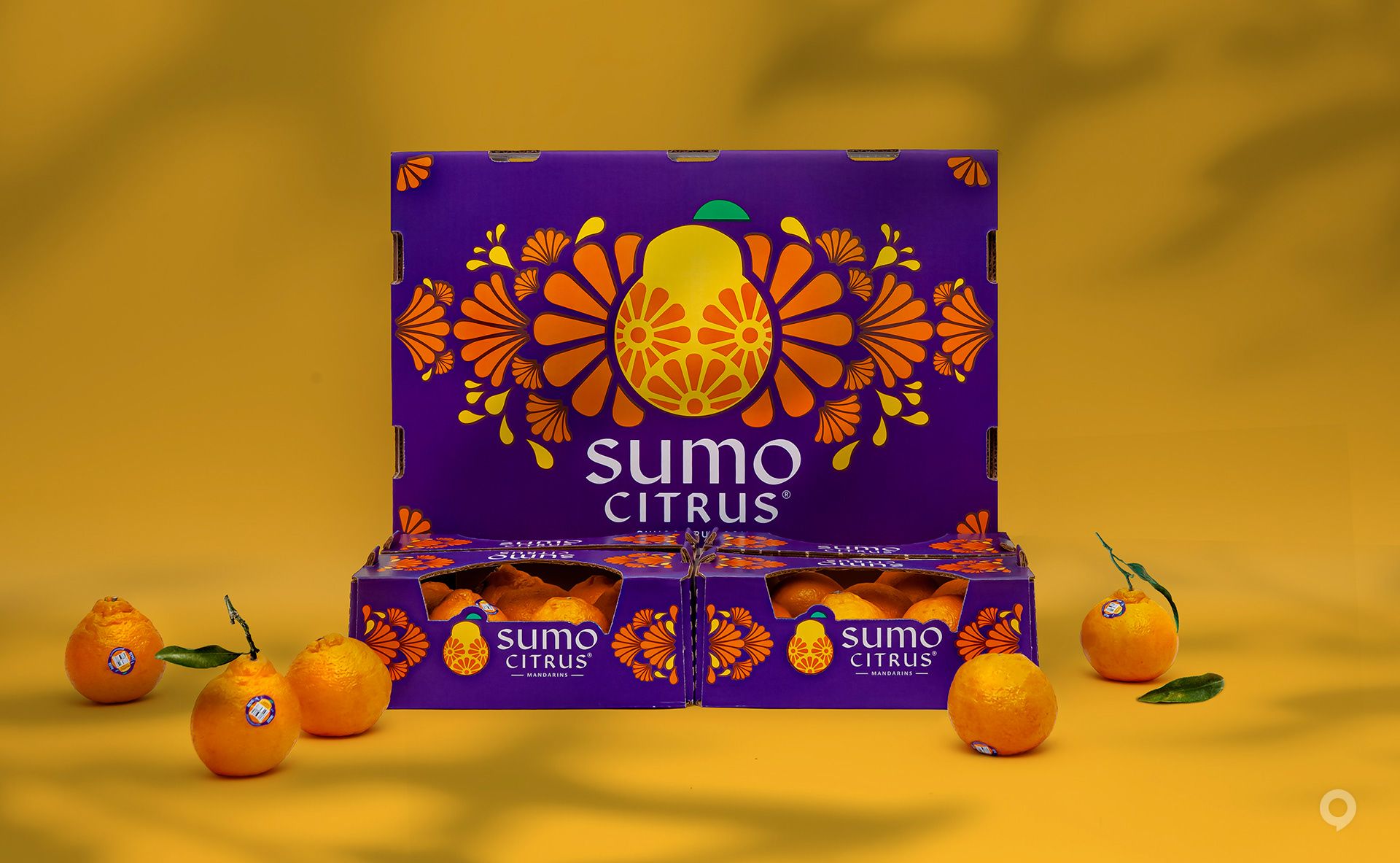 美國Sumo Citrus甜橙包裝設(shè)計(jì)欣賞(圖1)